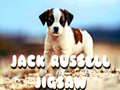 게임 Jack Russell Jigsaw