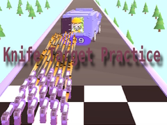 게임 Knife Target Practice