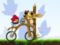 게임 Angry Birds Bike Revenge
