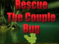 게임 Rescue The Couple Bug