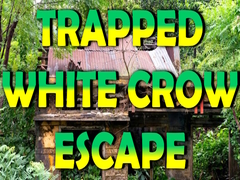 게임 Trapped White Crow Escape