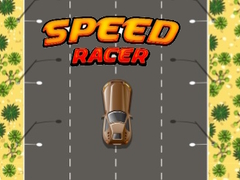 게임 Speed Racer