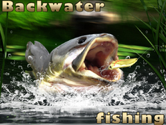 게임 Backwater Fishing
