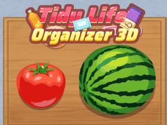 게임 Tidy Life Organizer 3D