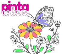 게임 Pinta Colour