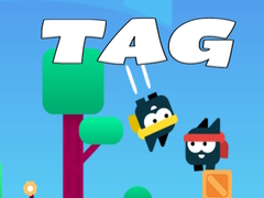 게임 Tag