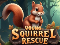 게임 Young Squirrel Rescue