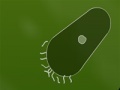 게임 Microbe kombat