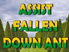 게임  Assist Fallen Down Ant