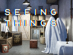 게임 Seeing Things