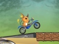 게임 Raichu Ride 