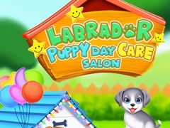 게임 Labrador Puppy Daycare Salon