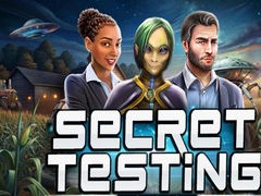 게임 Secret Testing