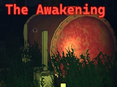 게임 The Awakening