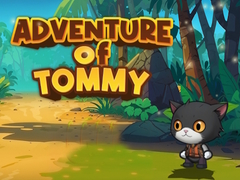 게임 Advanture Of Tommy