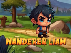 게임 Wanderer Liam