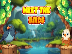 게임 Meet The Birds 