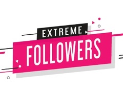 게임 Extreme Followers