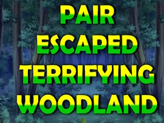 게임 Pair Escaped Terrifying Woodland