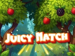 게임 Juicy Match