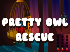 게임 Pretty Owl Rescue