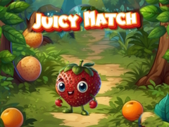 게임 Juicy Match