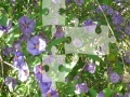 게임 Flowers Jigsaw