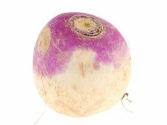 게임 Turnip
