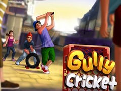 게임 Gully Cricket