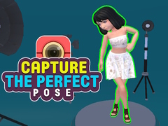 게임 Capture the Perfect Pose 