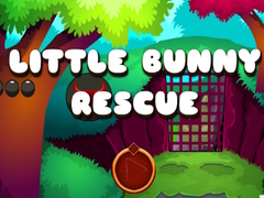 게임 Little Bunny Rescue