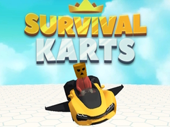 게임 Survival Karts