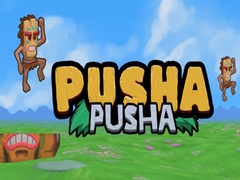 게임 Pusha Pusha