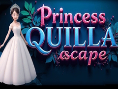 게임 Princess Quilla Escape