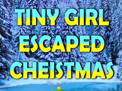 게임 Tiny Girl Escaped Christmas Island