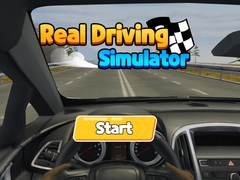 게임 Real Driving Simulator