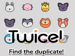 게임 Twice! Find the Duplicate!