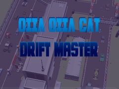 게임 Oiia Oiia Cat Drift Master