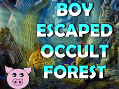 게임 Boy Escaped Occult Forest