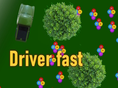 게임 Driver fast