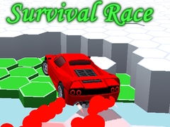게임 Survival Race
