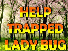 게임 Help Trapped Lady Bug
