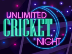 게임 Unlimited Cricket Night