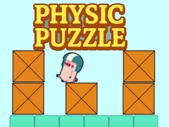 게임 physics puzzle