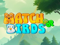 게임 Match Pop Birds