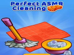 게임 Perfect Asmr Cleaning