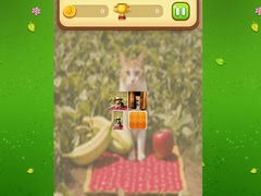 게임 Farm Cat Memory Match