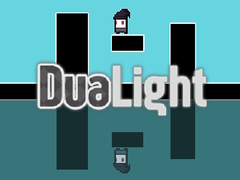 게임 DuaLight