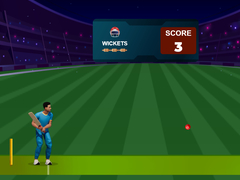 게임 Cricket Night 2
