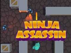 게임 Ninja Assassin